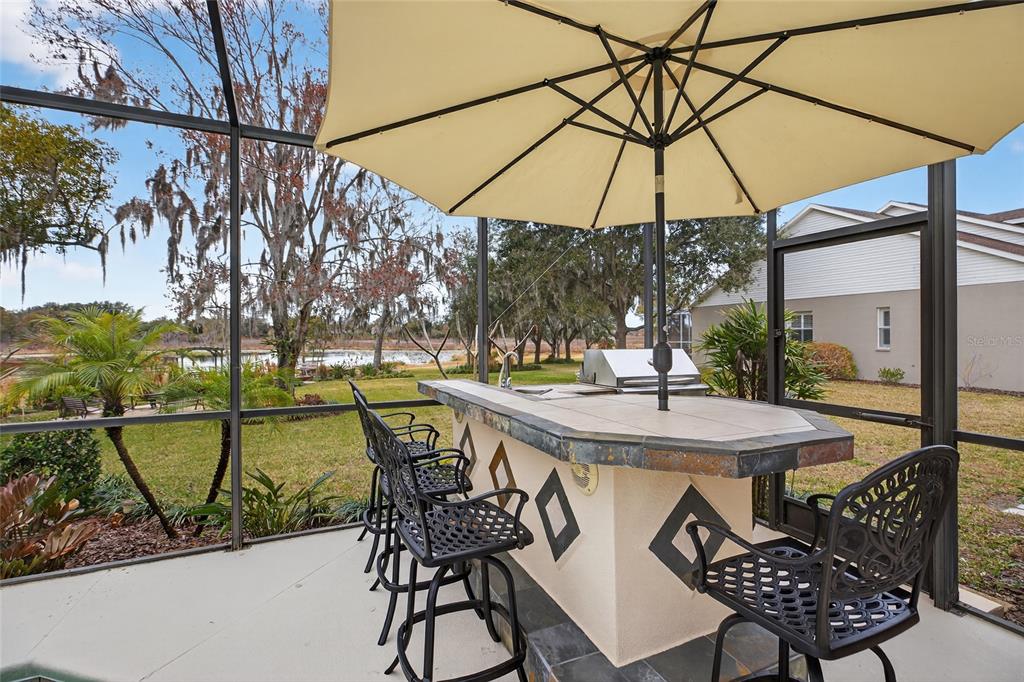 19902 Dolores Ann Court Lutz, FL 33549 - Photo 52 of 80