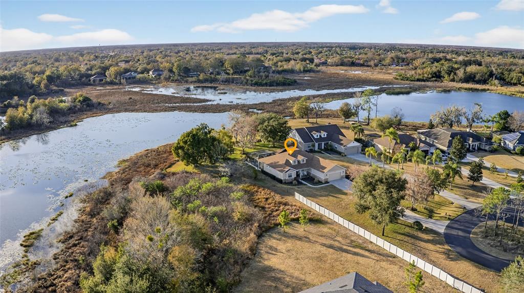 19902 Dolores Ann Court Lutz, FL 33549 - Photo 54 of 80