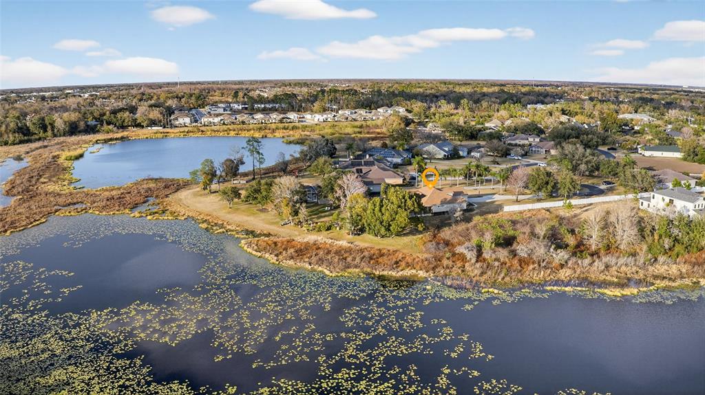 19902 Dolores Ann Court Lutz, FL 33549 - Photo 56 of 80