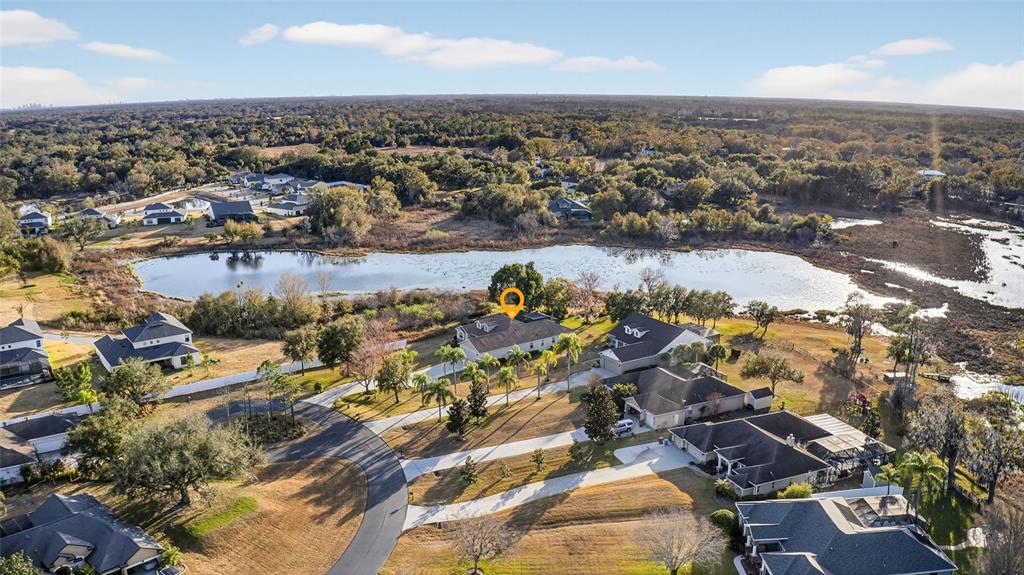 19902 Dolores Ann Court Lutz, FL 33549 - Photo 57 of 80