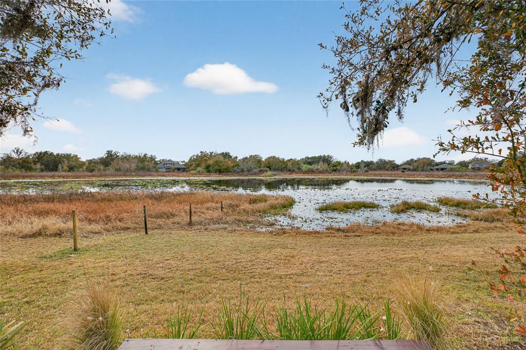 19902 Dolores Ann Court Lutz, FL 33549 - Photo 58 of 80