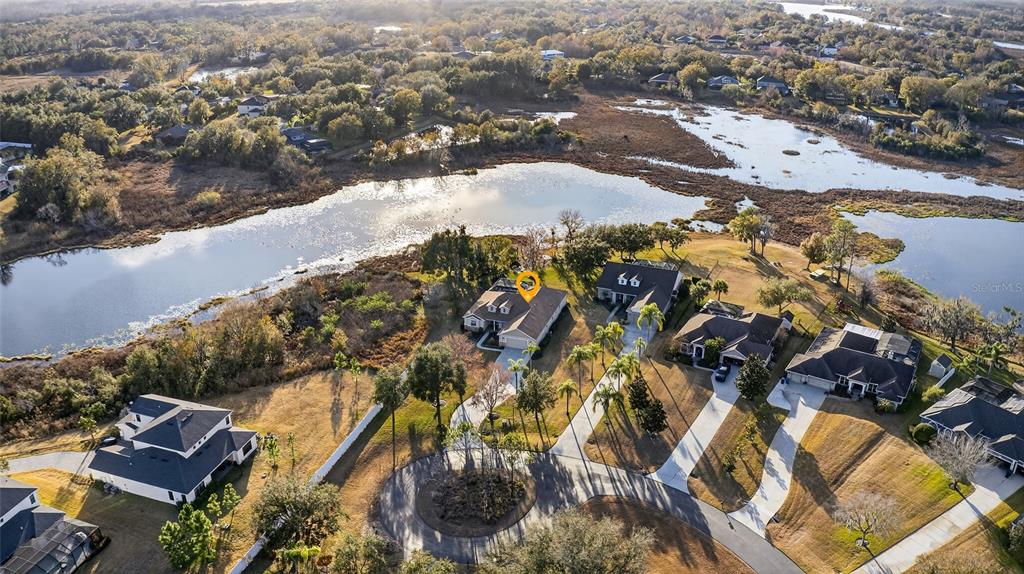 19902 Dolores Ann Court Lutz, FL 33549 - Photo 60 of 80