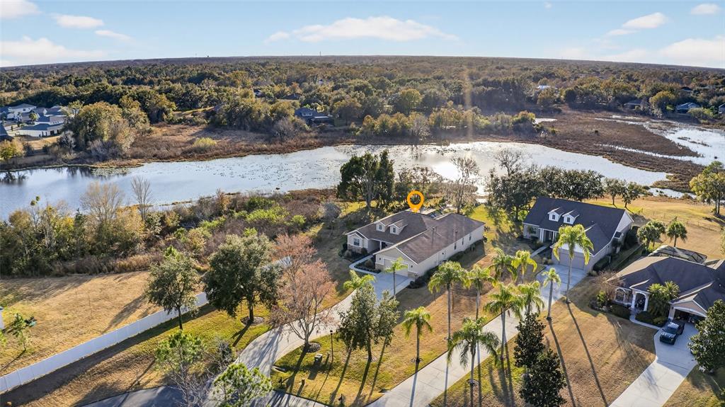 19902 Dolores Ann Court Lutz, FL 33549 - Photo 65 of 80