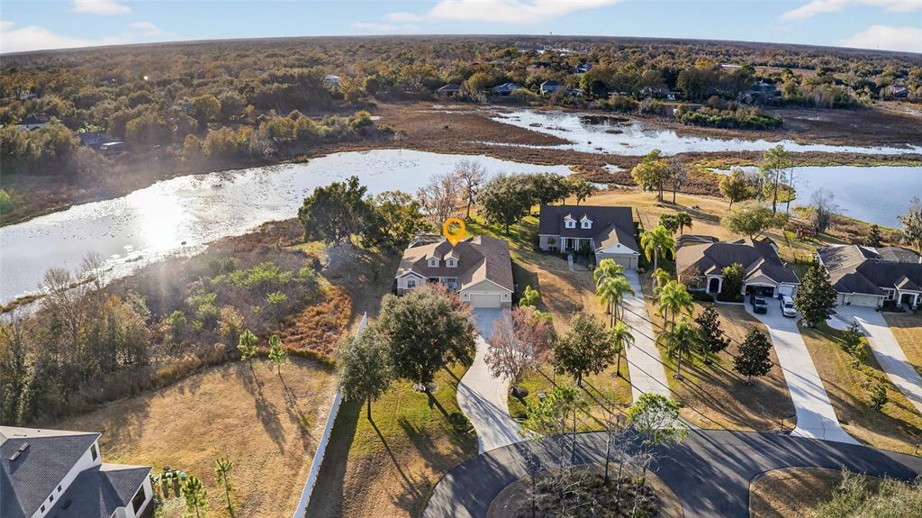 19902 Dolores Ann Court Lutz, FL 33549 - Photo 68 of 80