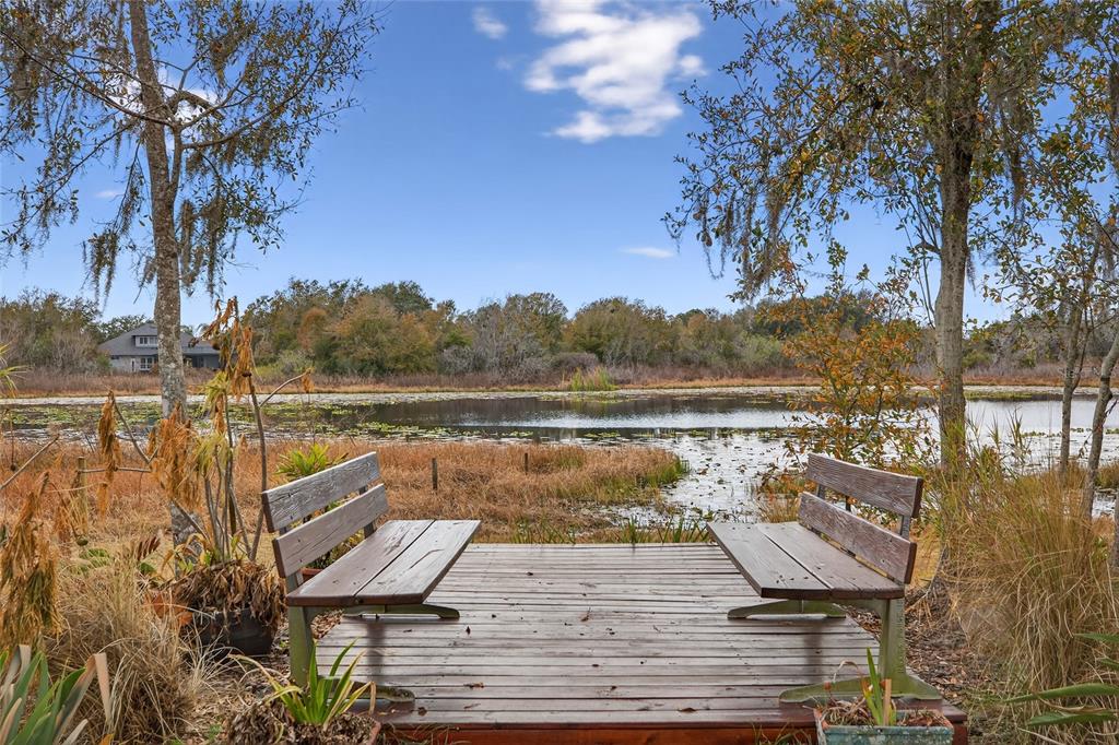 19902 Dolores Ann Court Lutz, FL 33549 - Photo 70 of 80