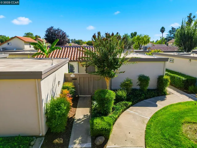 a view of a backyard with plants and palm tree