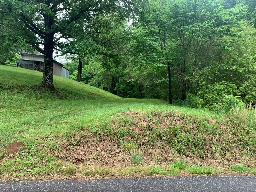 805 Bethabara Road Hayesville, NC 28904 - Photo 3 of 21