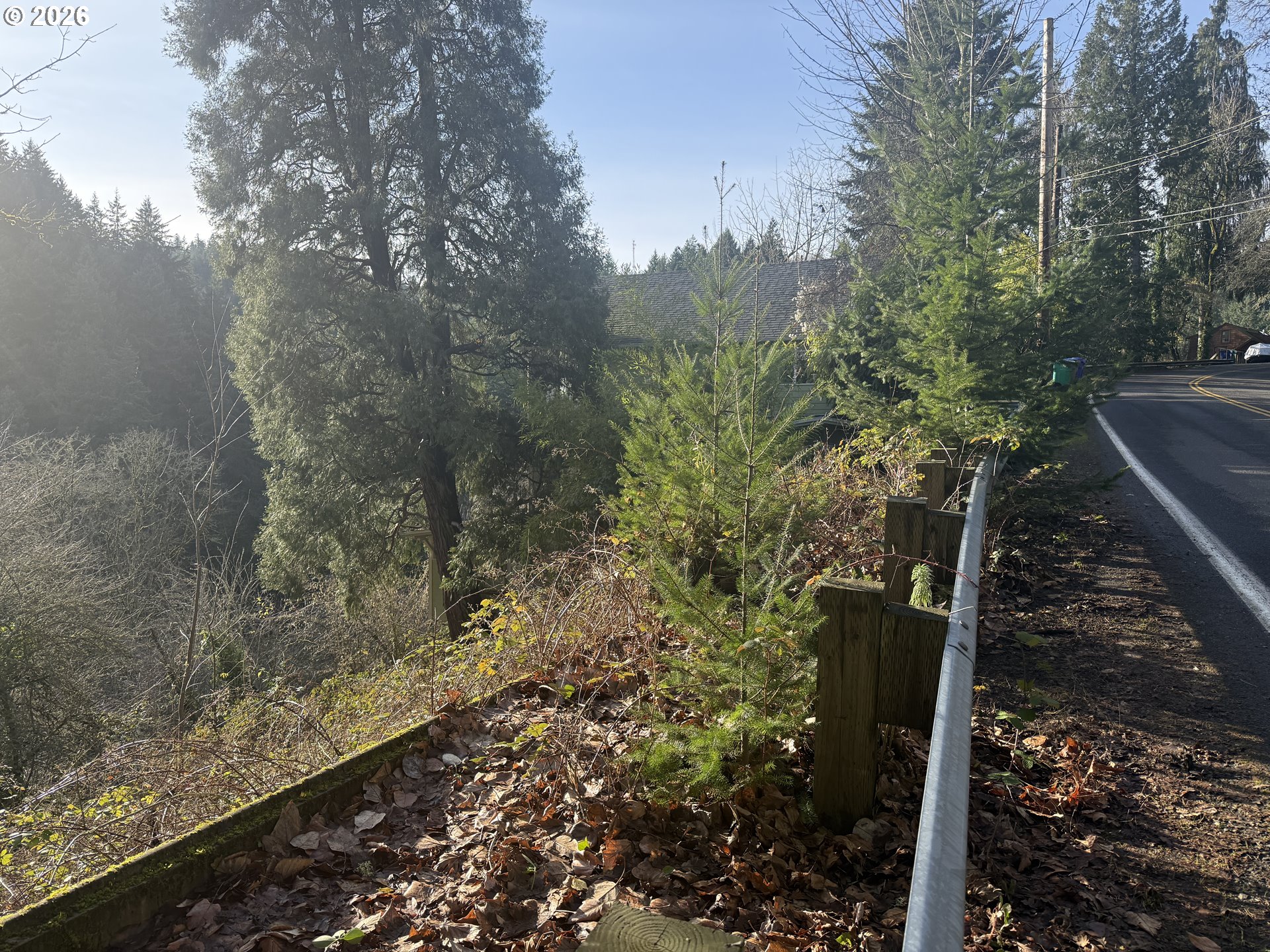 0 Southwest Broadway Drive Portland, OR 97201 - Photo 2 of 5 a view of a yard with plants and large trees