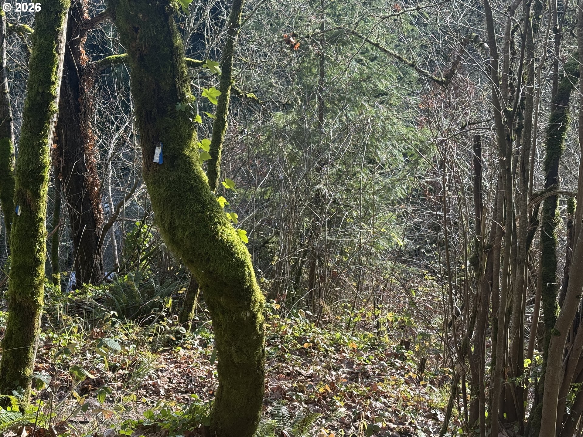 0 Southwest Broadway Drive Portland, OR 97201 - Photo 3 of 5