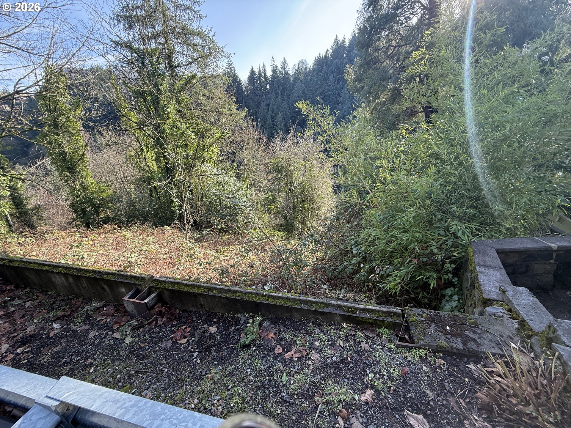 0 Southwest Broadway Drive Portland, OR 97201 - Photo 5 of 5 a view of a yard with plants and wooden fence