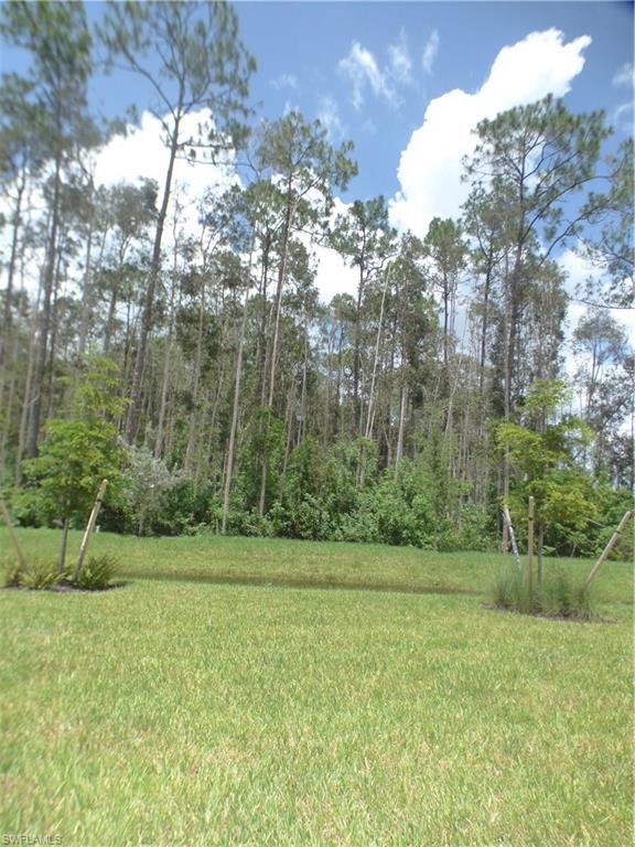16325 Aberdeen Way Naples, FL 34110 - Photo 18 of 24 a view of a green field