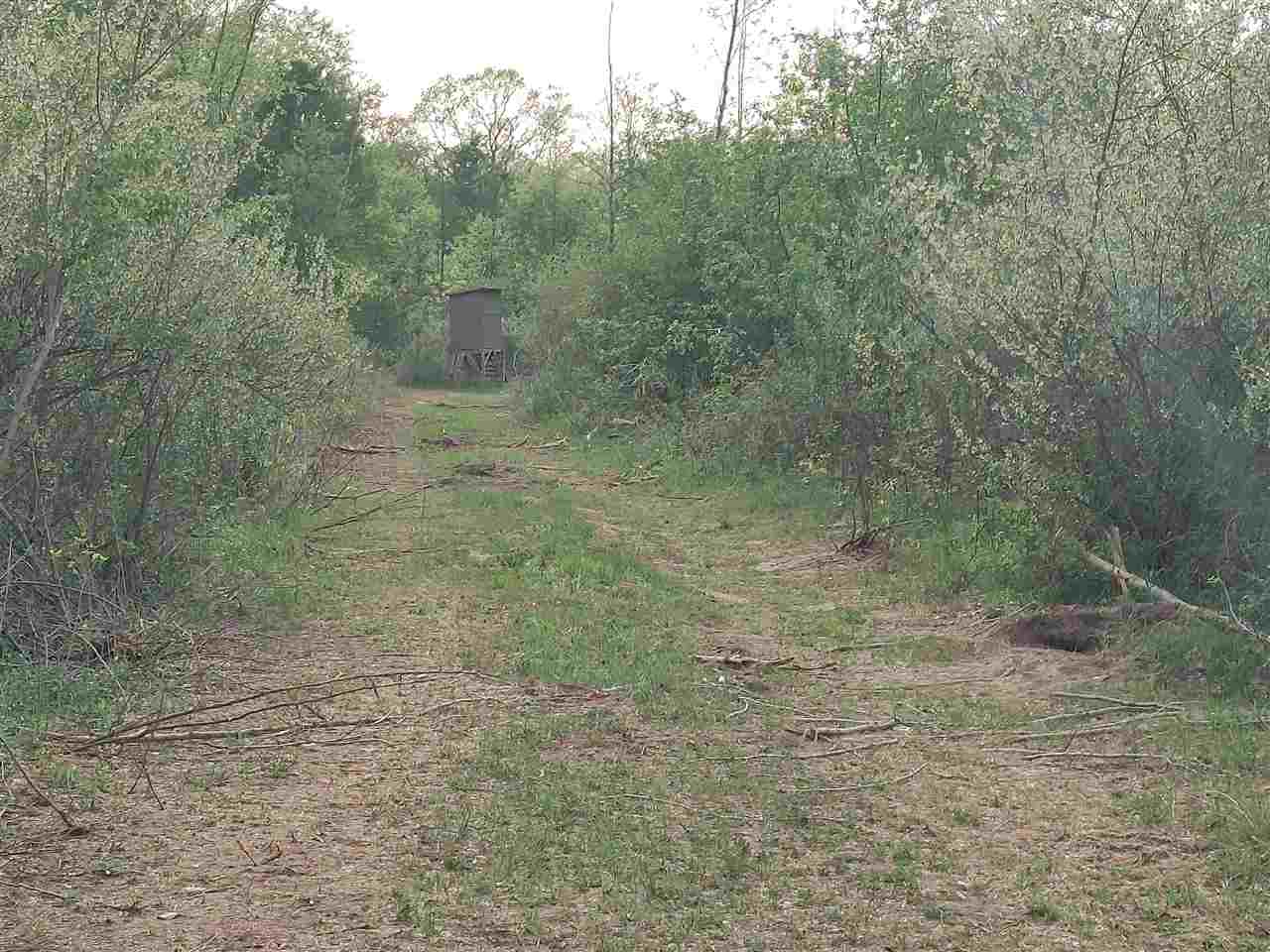 Parcel A South Isabella Road Shepherd, MI 48883 - Photo 6 of 8