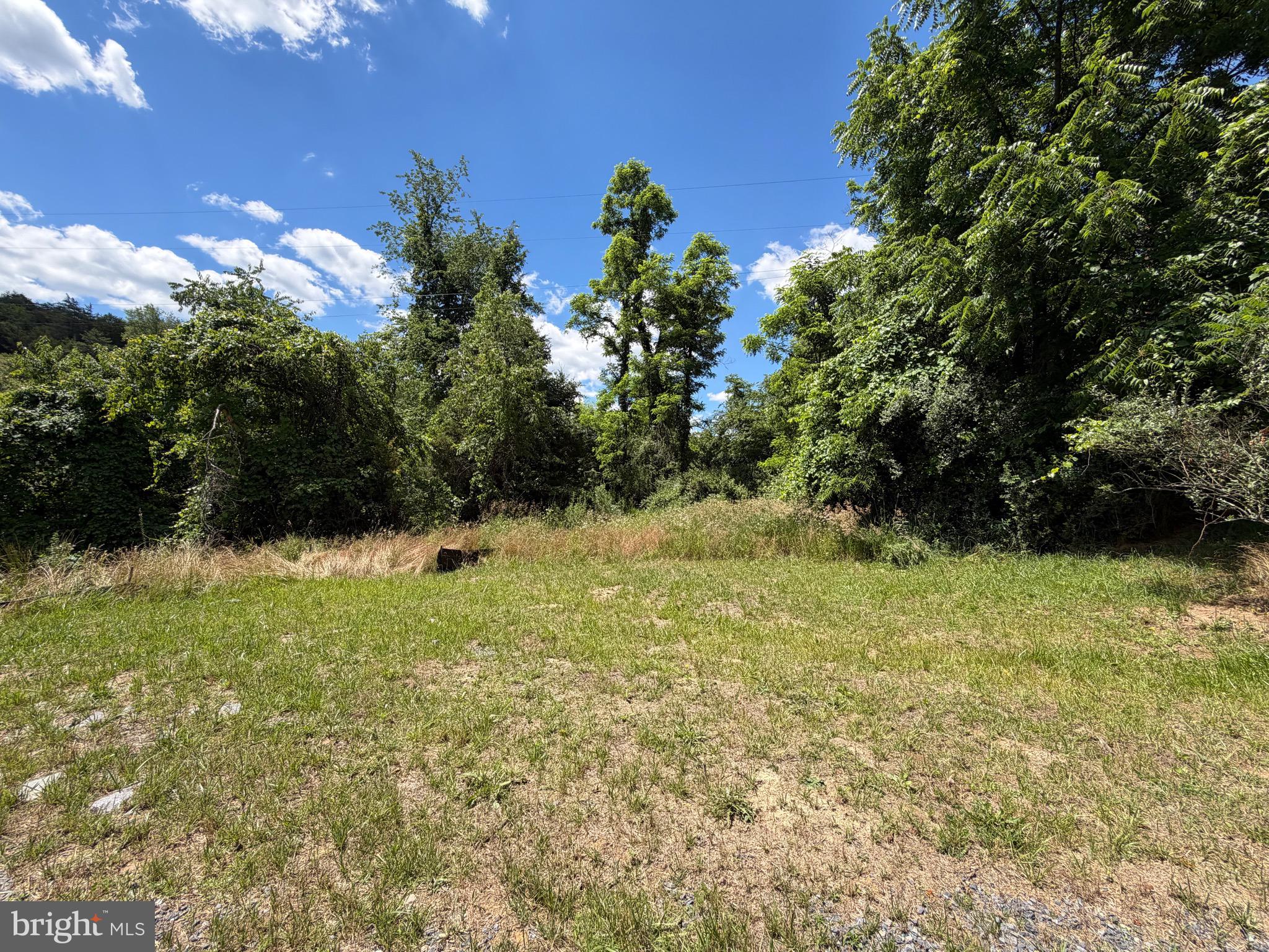 511 Chickadee Road Purgitsville, WV 26852 - Photo 59 of 99