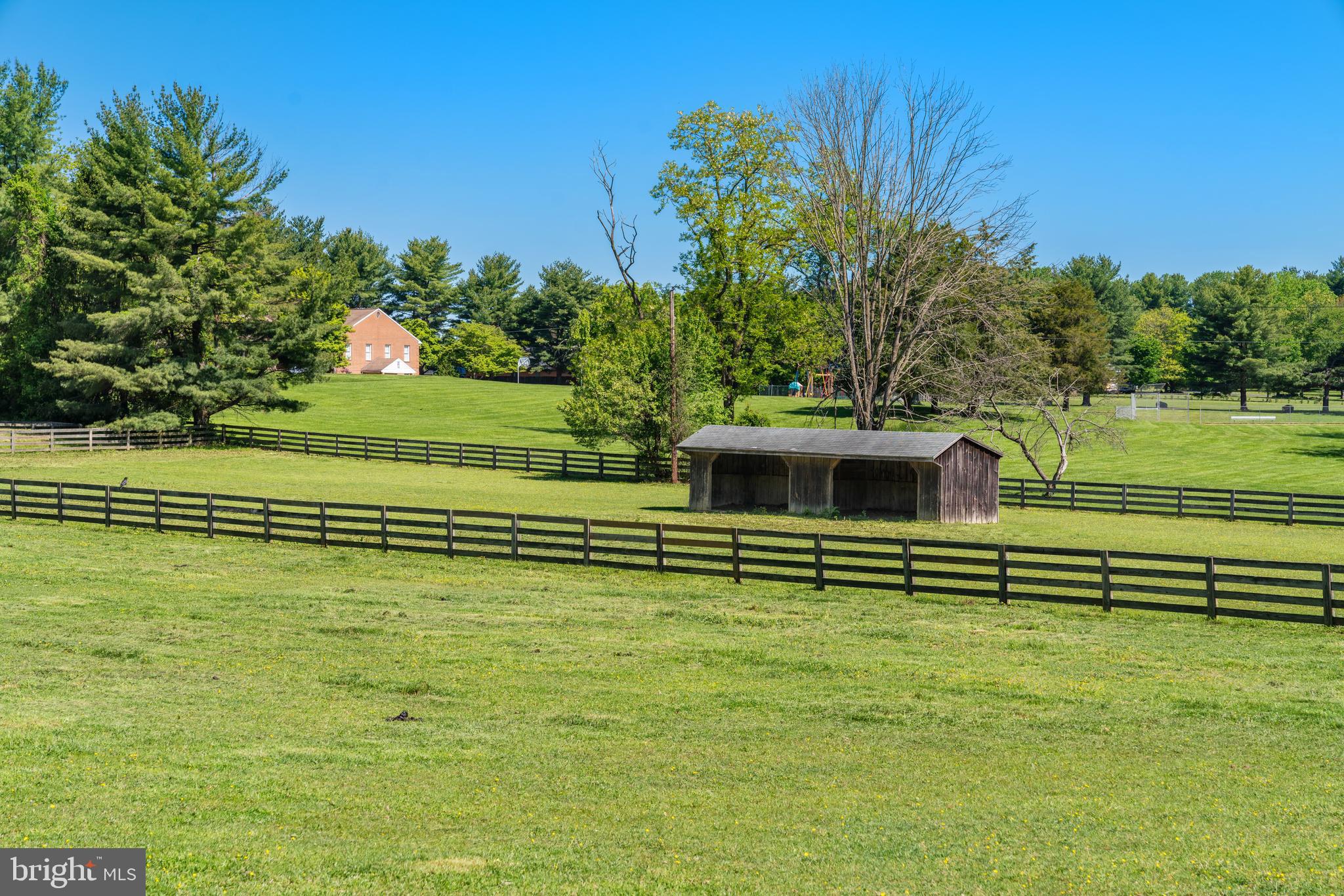 19000 Muncaster Road Derwood, MD 20855 - Photo 22 of 83 Pastures with large run-in sheds