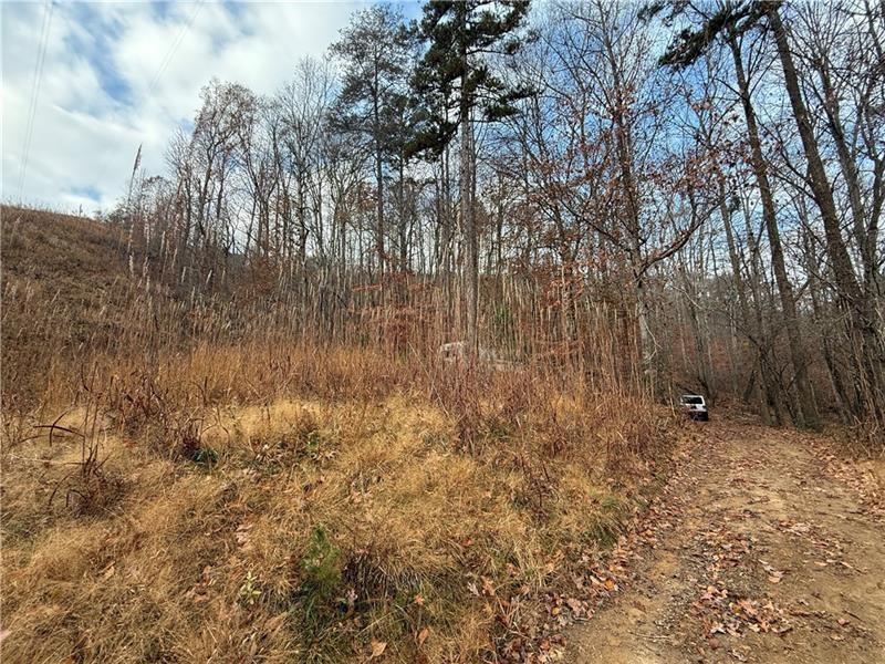 0 Falling Pines Road Dahlonega, GA 30533 - Photo 2 of 10
