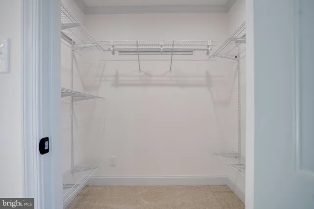 a bathroom with a shower and a sink