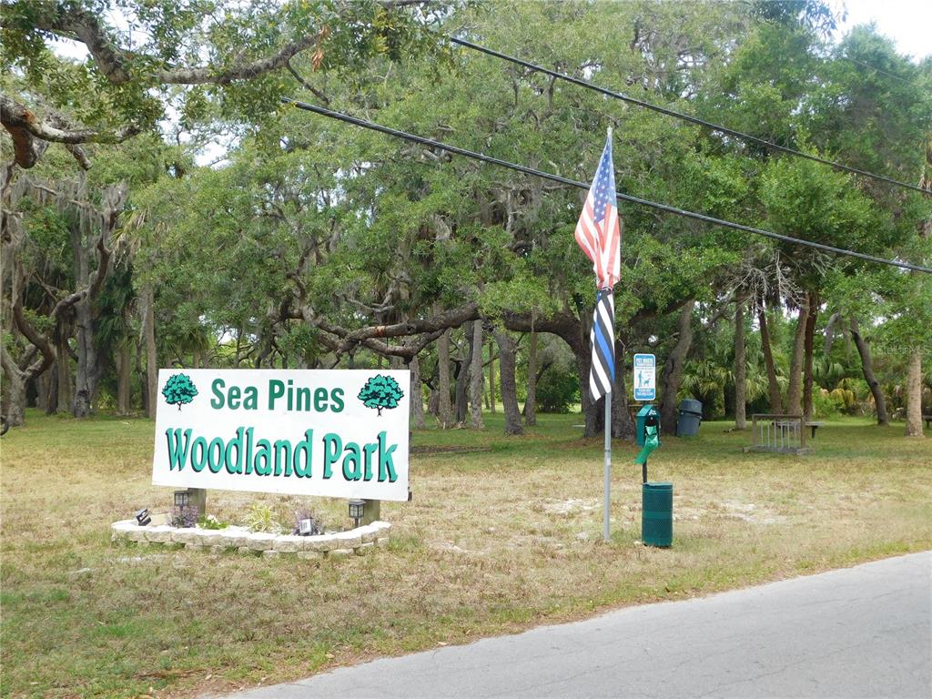 143 Inwood Drive Hudson, FL 34667 - Photo 11 of 20 a view of a park with a tree