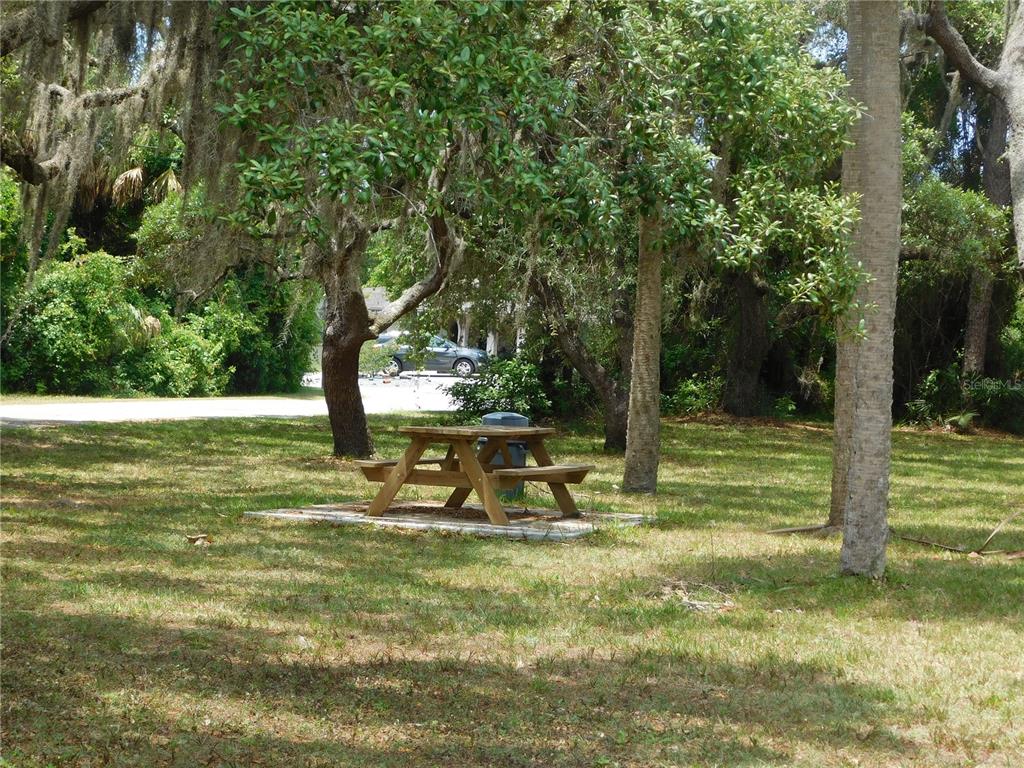 143 Inwood Drive Hudson, FL 34667 - Photo 16 of 20 a view of a park with large trees