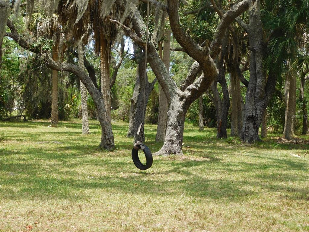 143 Inwood Drive Hudson, FL 34667 - Photo 17 of 20 a view of a yard with a tree