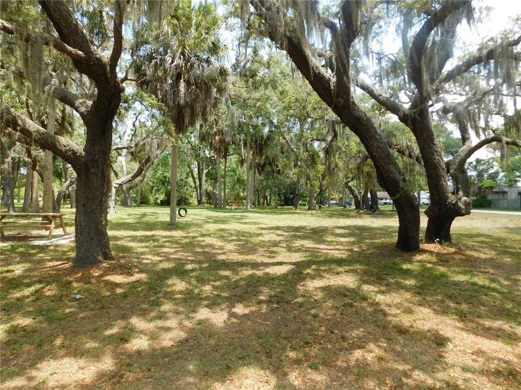 143 Inwood Drive Hudson, FL 34667 - Photo 19 of 20 a view of outdoor space with trees