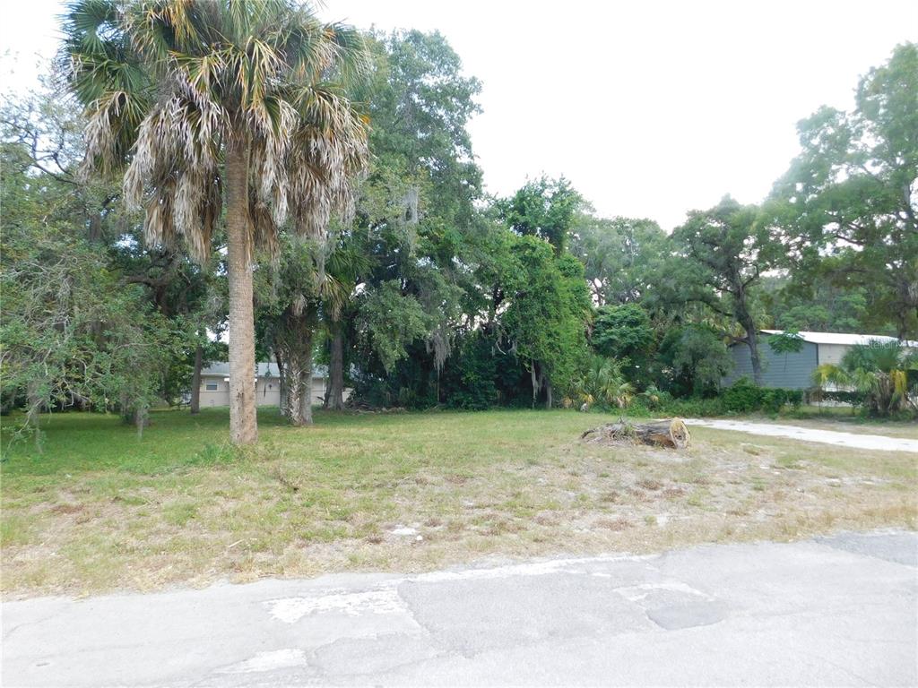 143 Inwood Drive Hudson, FL 34667 - Photo 2 of 20 a fire hydrant in the middle of a field