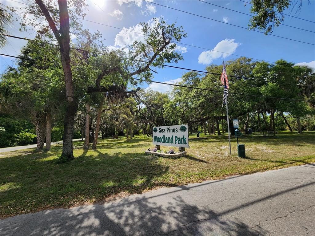 143 Inwood Drive Hudson, FL 34667 - Photo 6 of 20 a view of a park with large trees