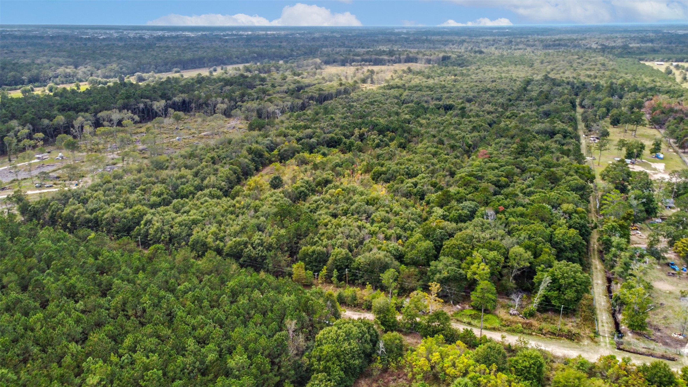 0 County Road 3011 Dayton, TX 77535 - Photo 1 of 1 a view of a forest with a houses