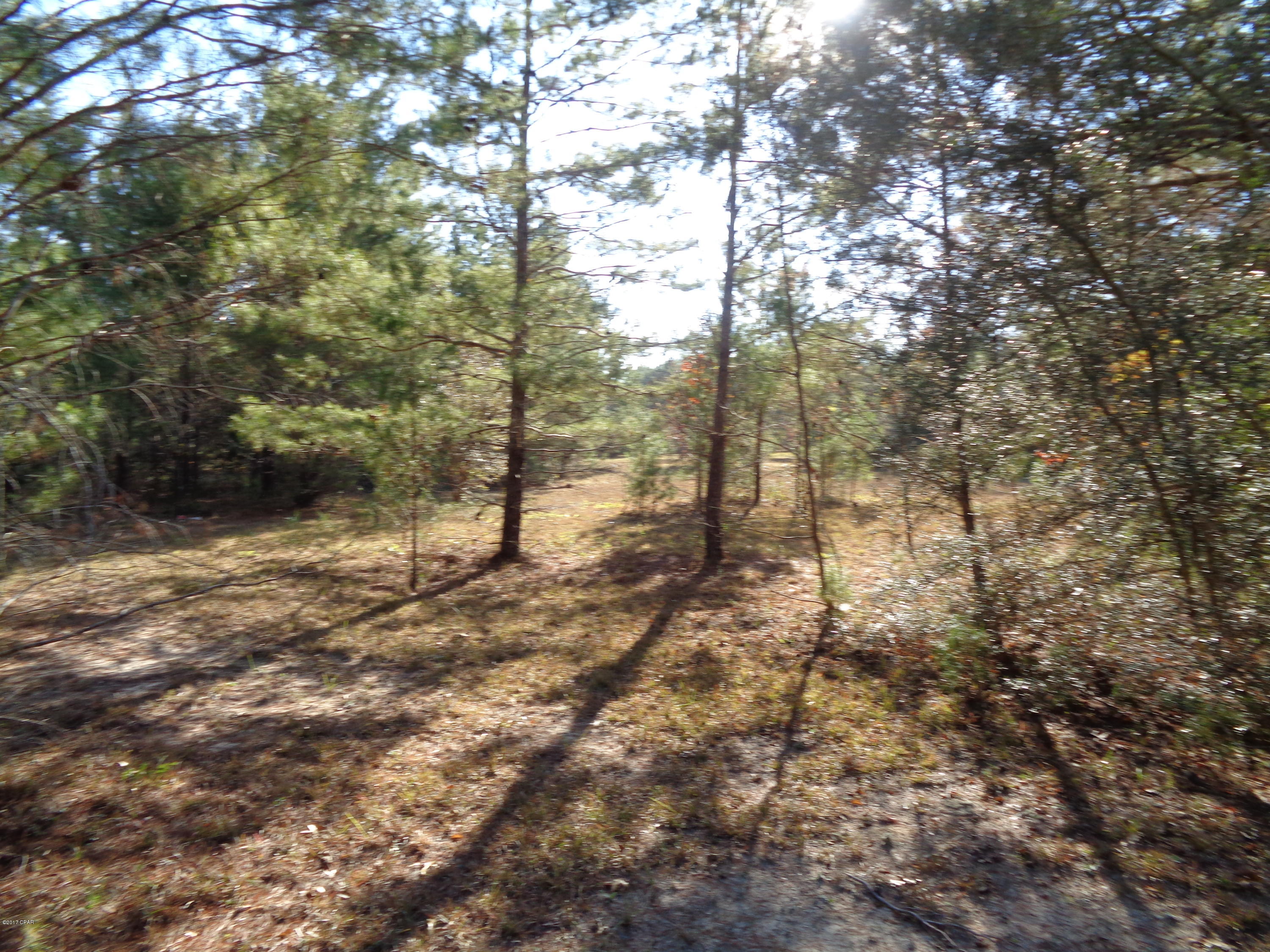 3109 Bonnett Pond Road Chipley, FL 32428 - Photo 17 of 26