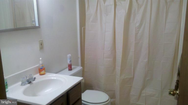 5002 Long Beach Road St. Leonard, MD 20685 - Photo 19 of 27 a bathroom with a sink toilet and a mirror