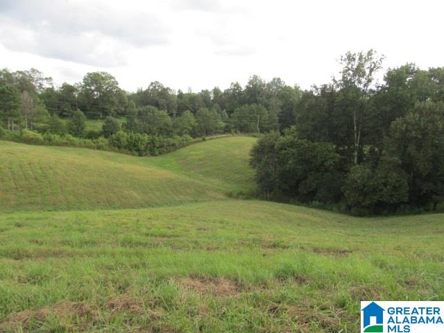 79 Highway 79, Unit 33 Cleveland, AL 35049 - Photo 11 of 32