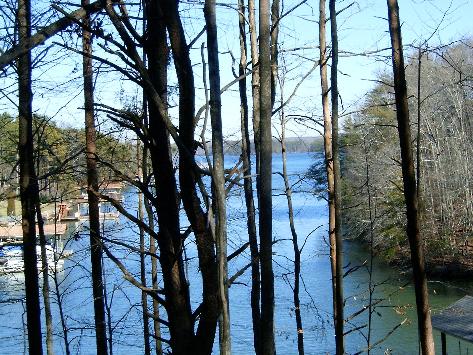 Lot 1 Windmere Trail Moneta, VA 24121 - Photo 2 of 25 2