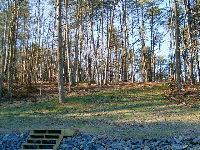 Lot 1 Windmere Trail Moneta, VA 24121 - Photo 16 of 25 16