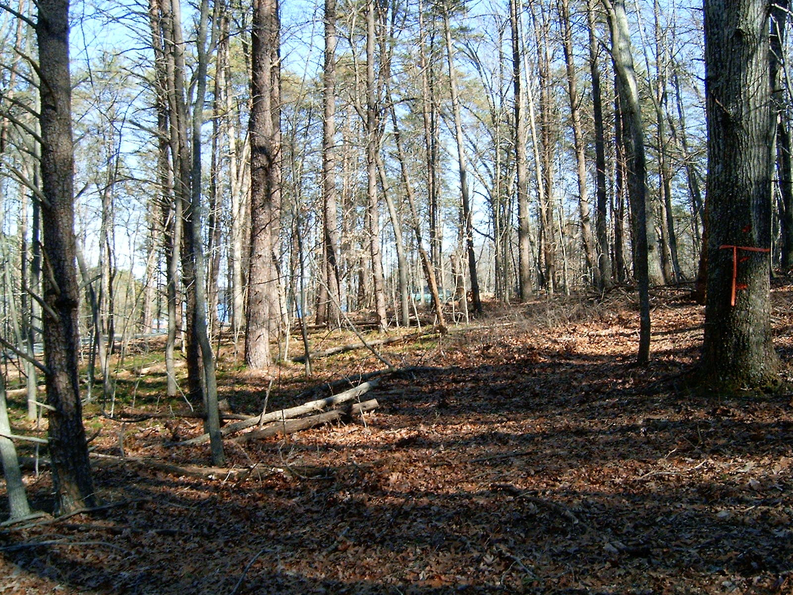 Lot 1 Windmere Trail Moneta, VA 24121 - Photo 17 of 25 17