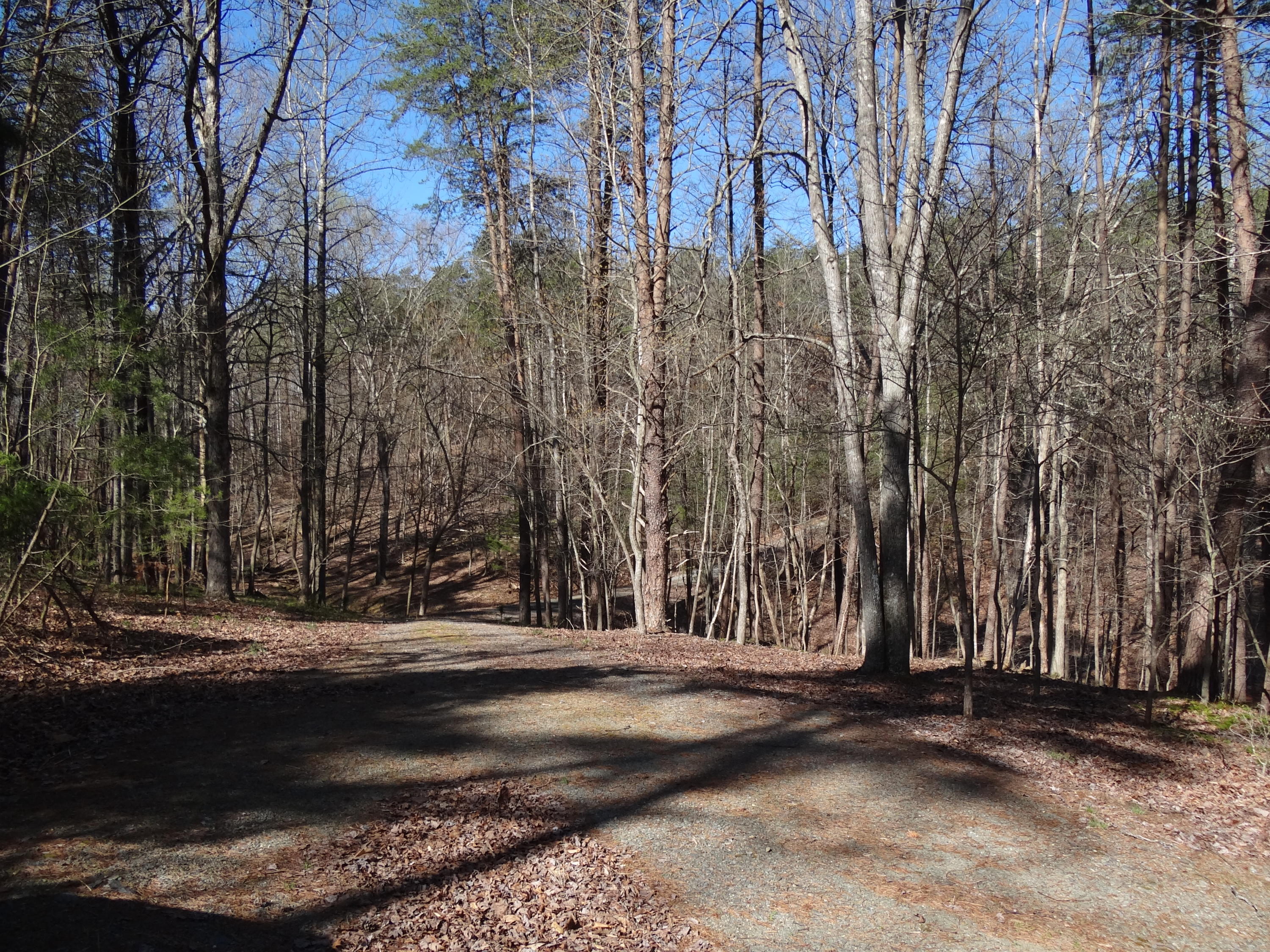 Lot 1 Windmere Trail Moneta, VA 24121 - Photo 18 of 25 18