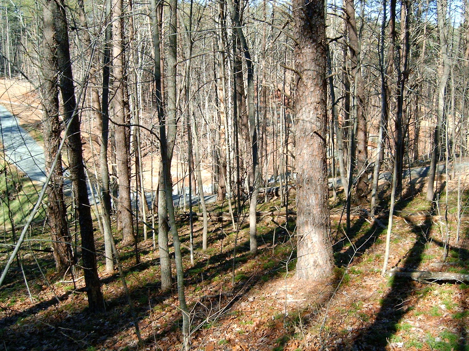 Lot 1 Windmere Trail Moneta, VA 24121 - Photo 19 of 25 19