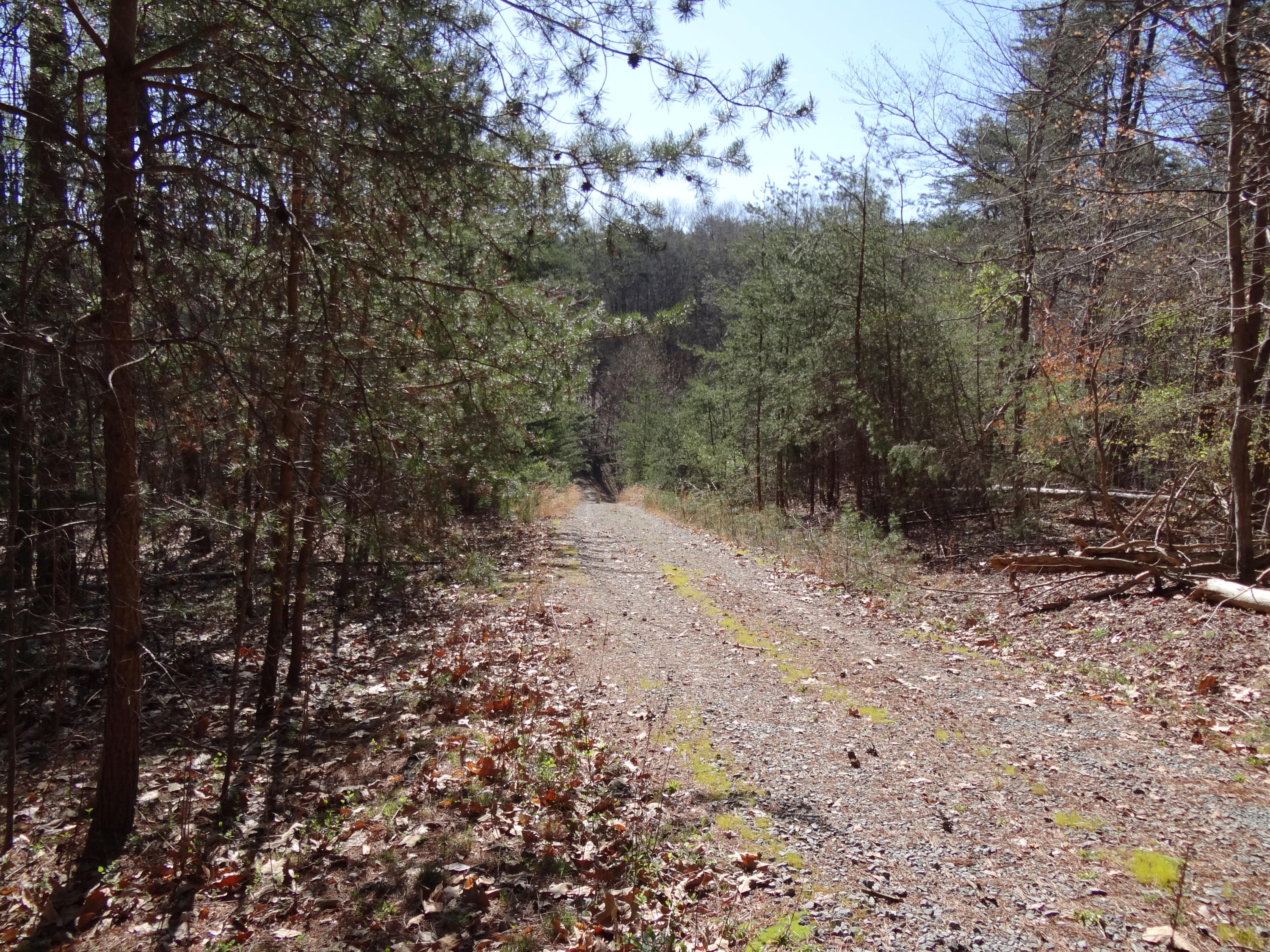 Lot 1 Windmere Trail Moneta, VA 24121 - Photo 20 of 25 20