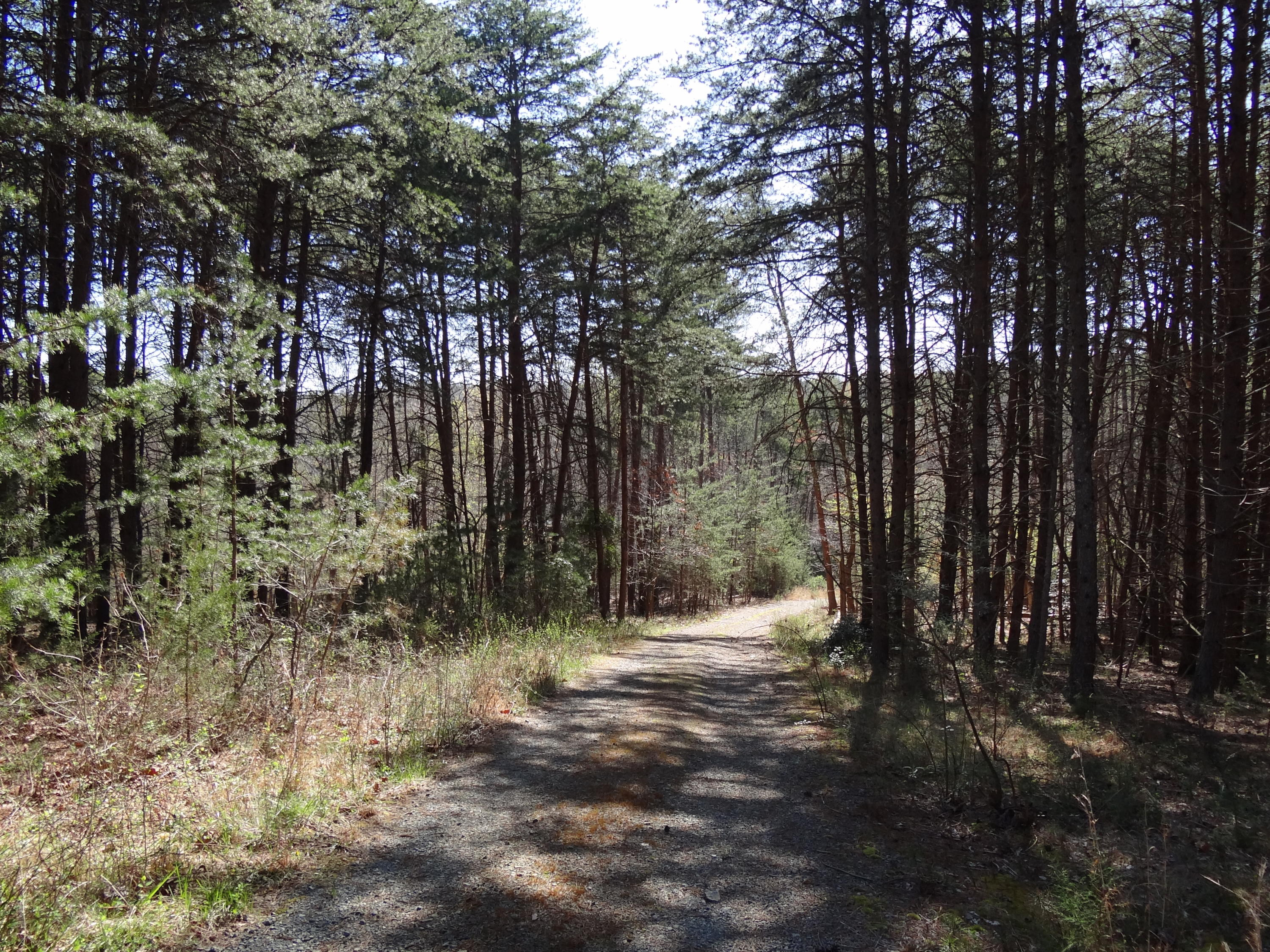 Lot 1 Windmere Trail Moneta, VA 24121 - Photo 21 of 25 21