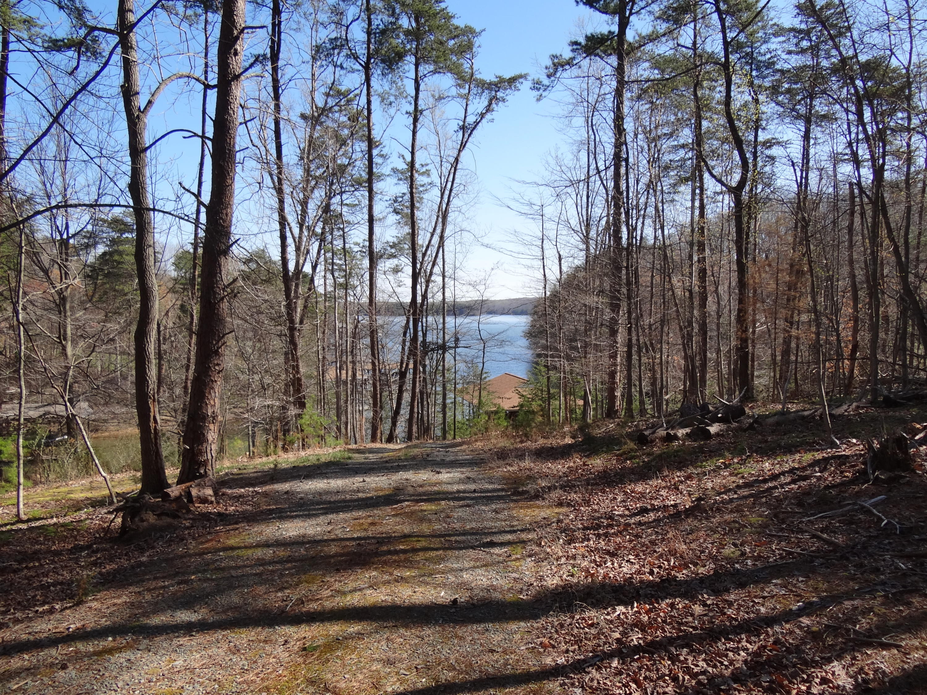 Lot 1 Windmere Trail Moneta, VA 24121 - Photo 6 of 25 6