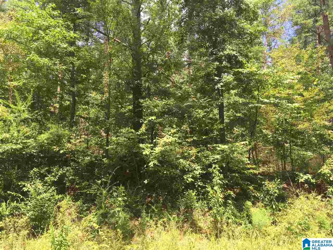 0 Old Springville Road, Unit 2 Pinson, AL 35126 - Photo 2 of 8