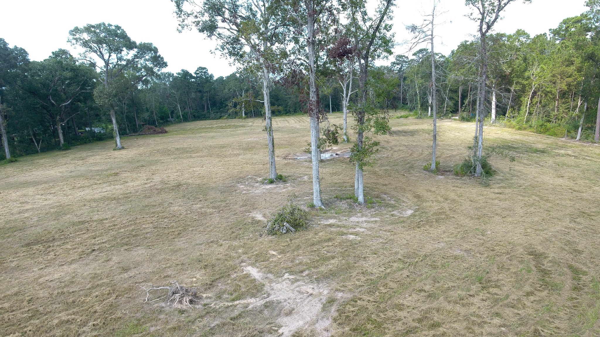 12075 Coon Hollow Road Conroe, TX 77306 - Photo 8 of 14 a view of outdoor space with trees all around