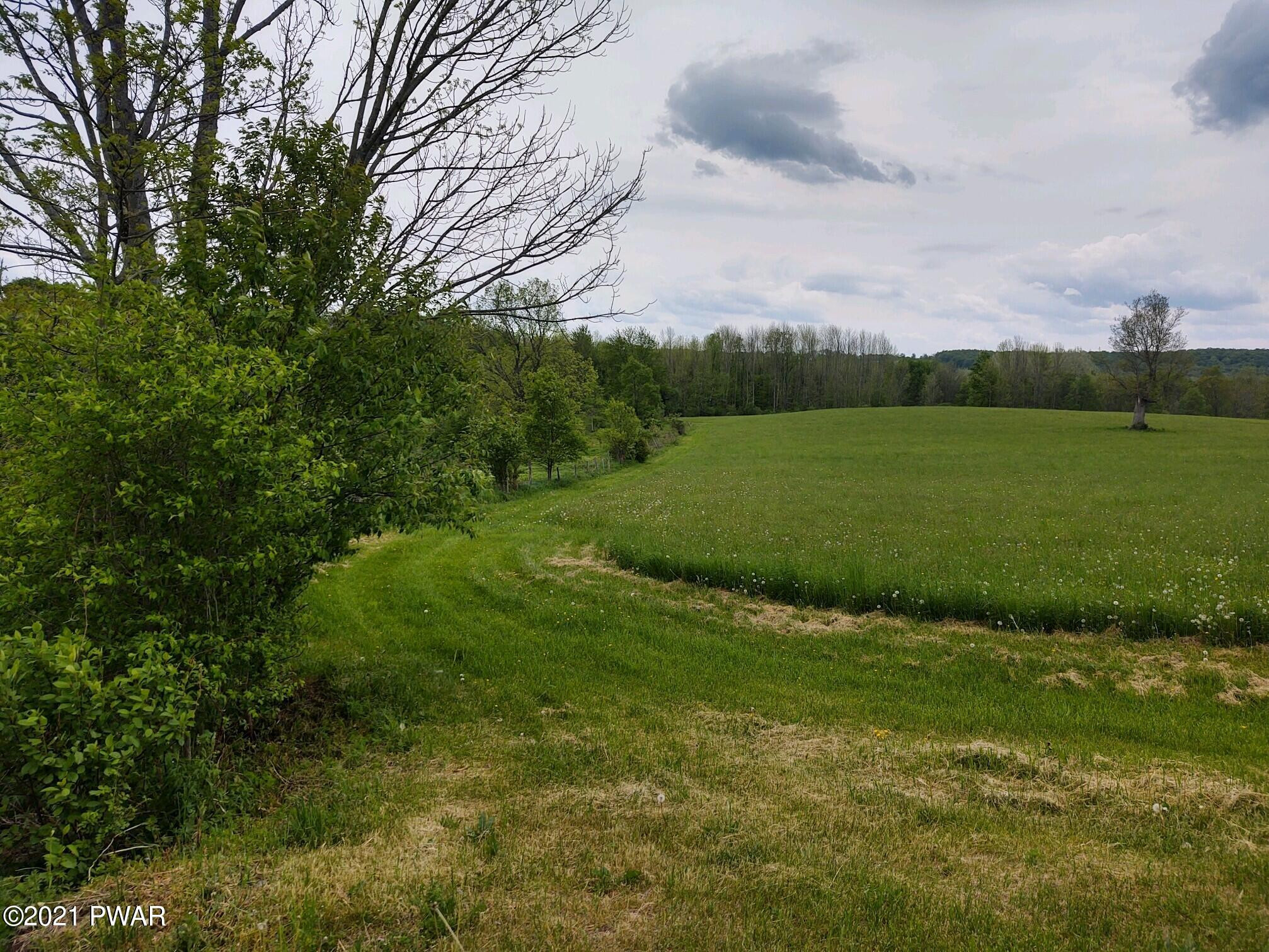 Joslyn Road Guilford, NY 13780 - Photo 8 of 11
