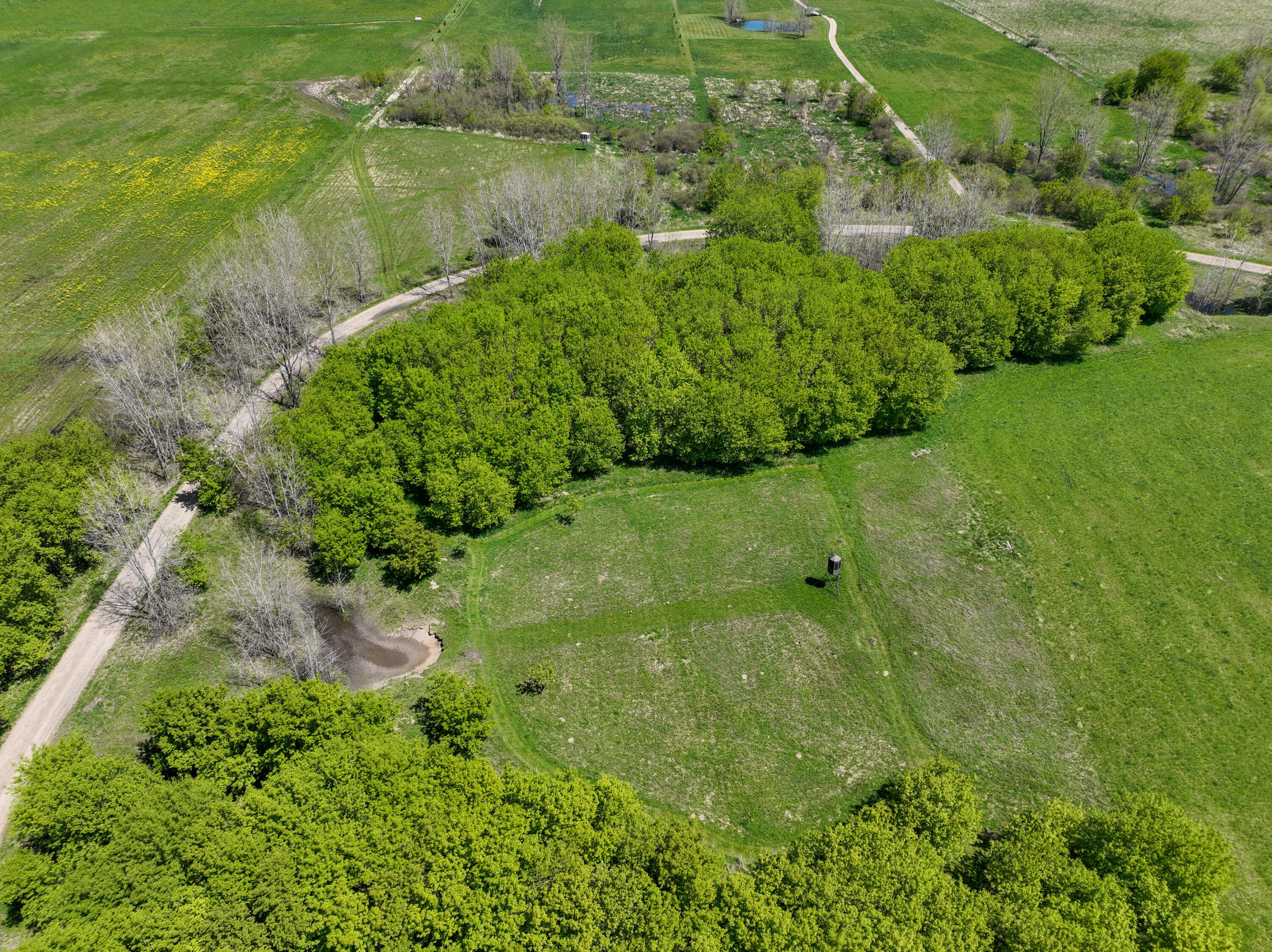 6045 Herrington Road North Webberville, MI 48892 - Photo 13 of 24 15