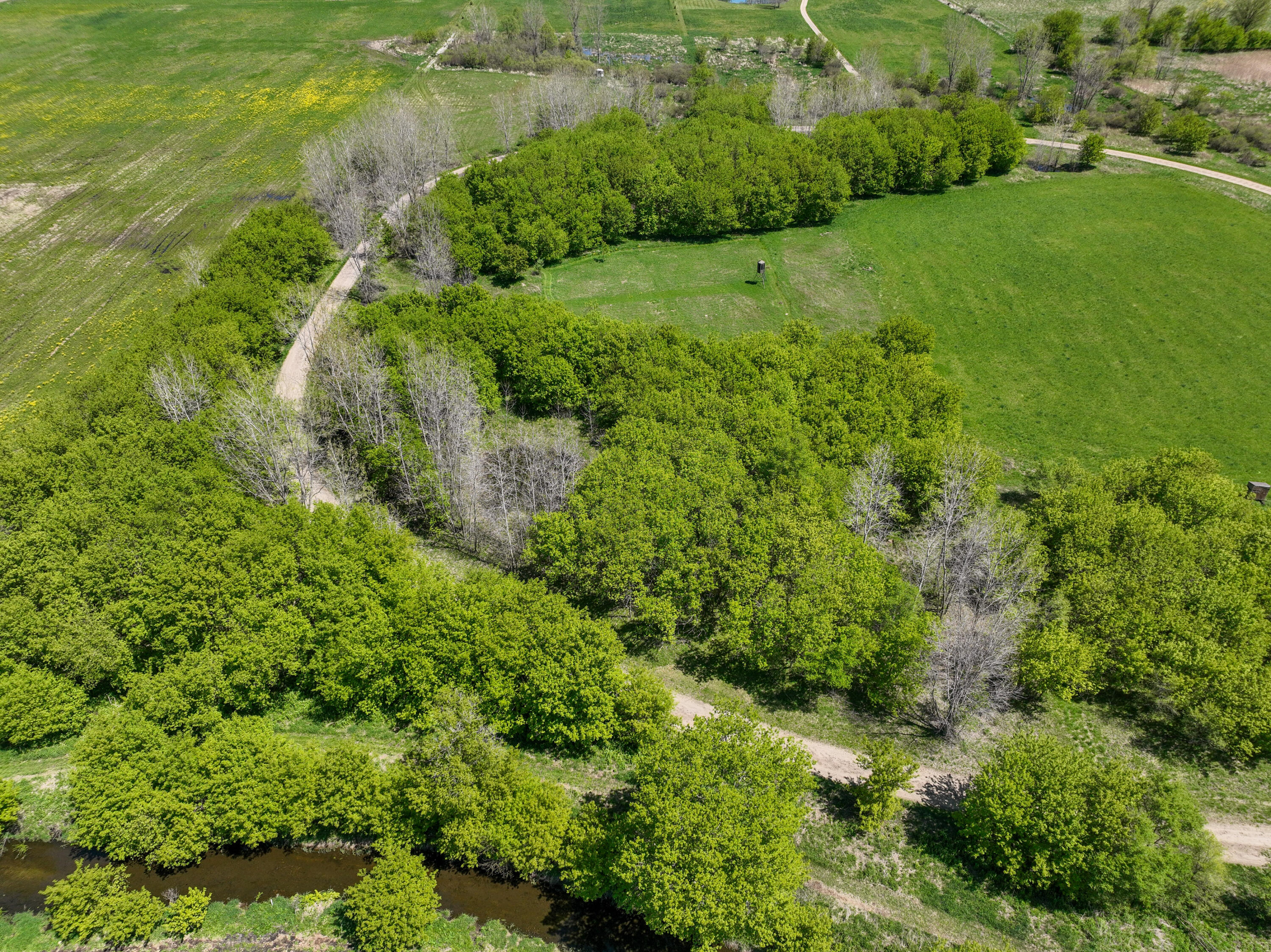 6045 Herrington Road North Webberville, MI 48892 - Photo 14 of 24 14