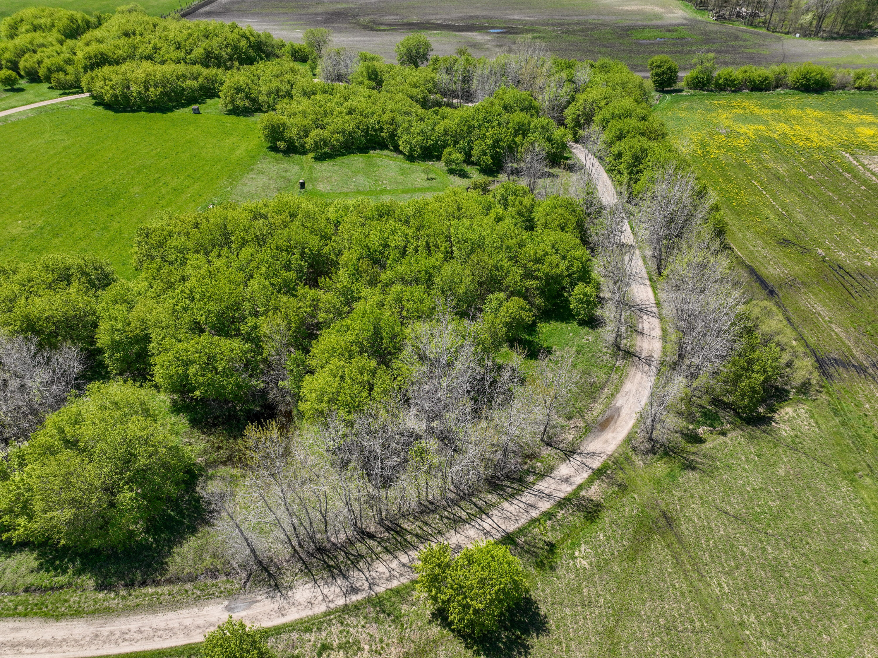 6045 Herrington Road North Webberville, MI 48892 - Photo 17 of 24 11