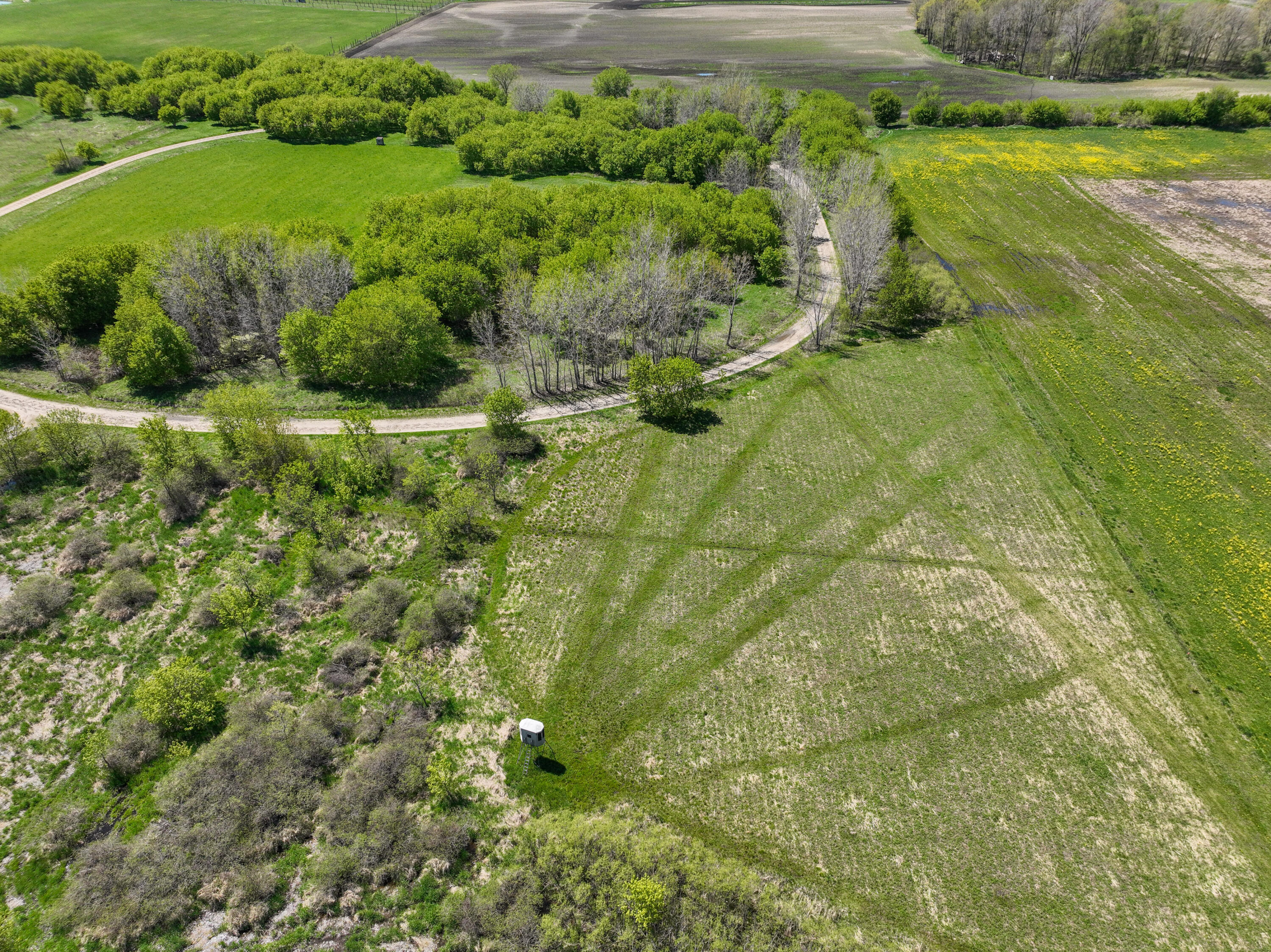 6045 Herrington Road North Webberville, MI 48892 - Photo 18 of 24 10