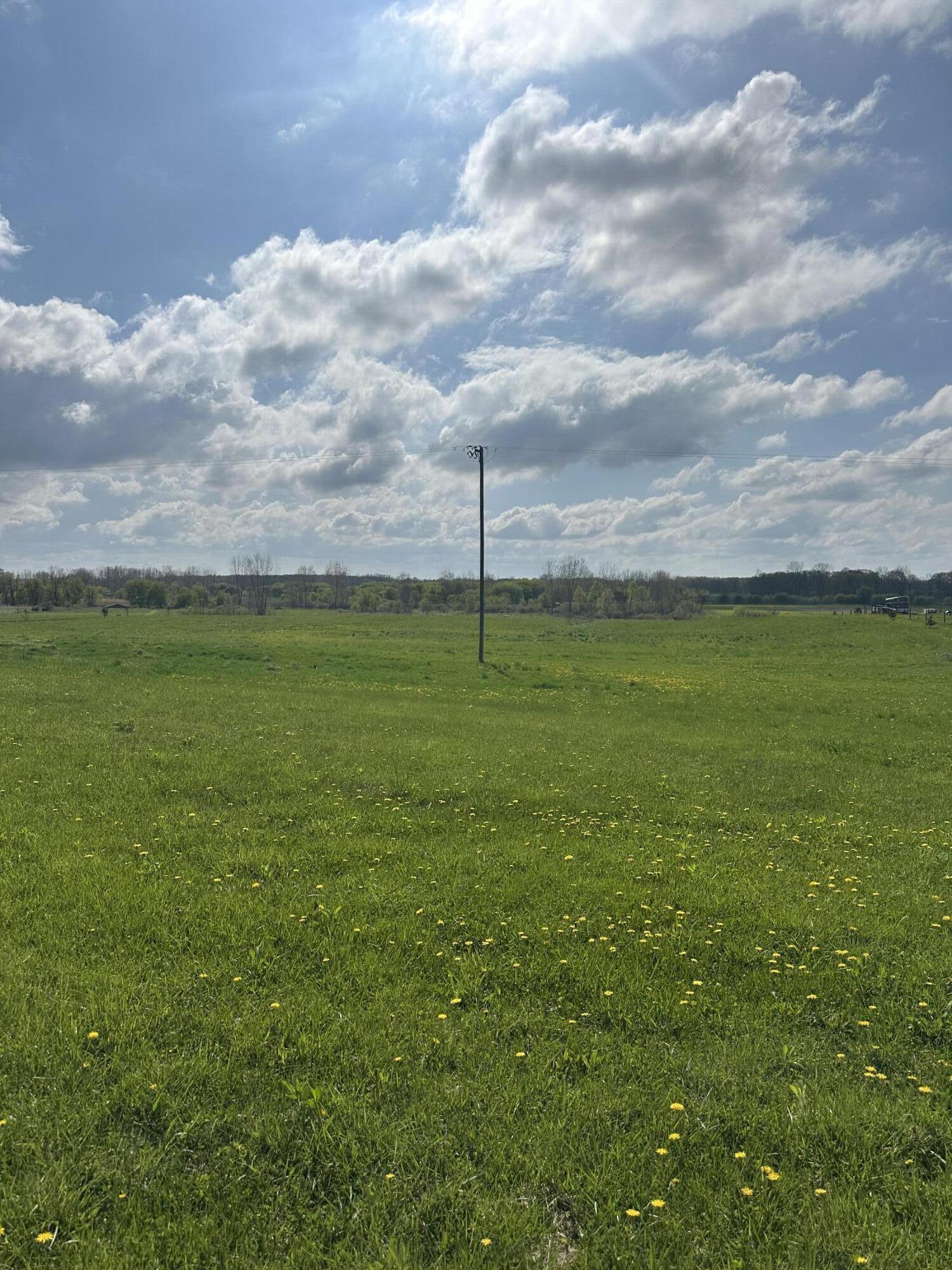 6045 Herrington Road North Webberville, MI 48892 - Photo 4 of 24 IMG_8623