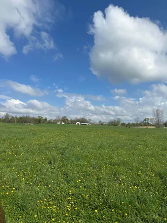 $184,900 | 6045 Herrington Road North, Webberville, MI 48892