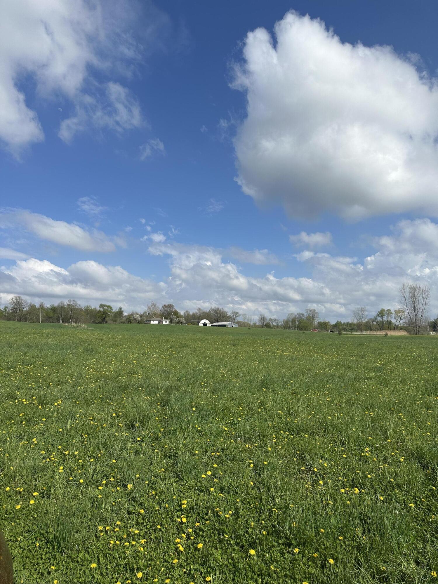 6045 Herrington Road North Webberville, MI 48892 - Photo 5 of 24 IMG_8622