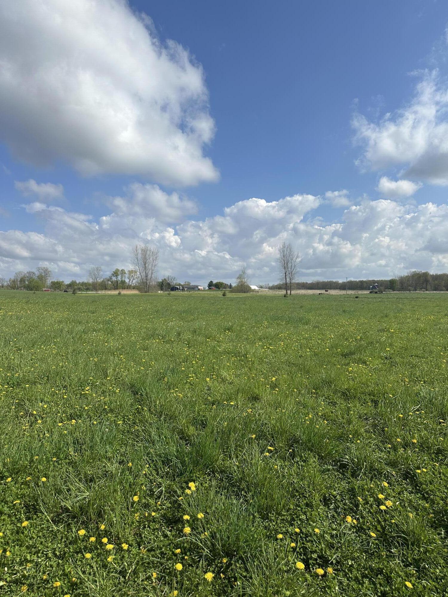 6045 Herrington Road North Webberville, MI 48892 - Photo 6 of 24 IMG_8621