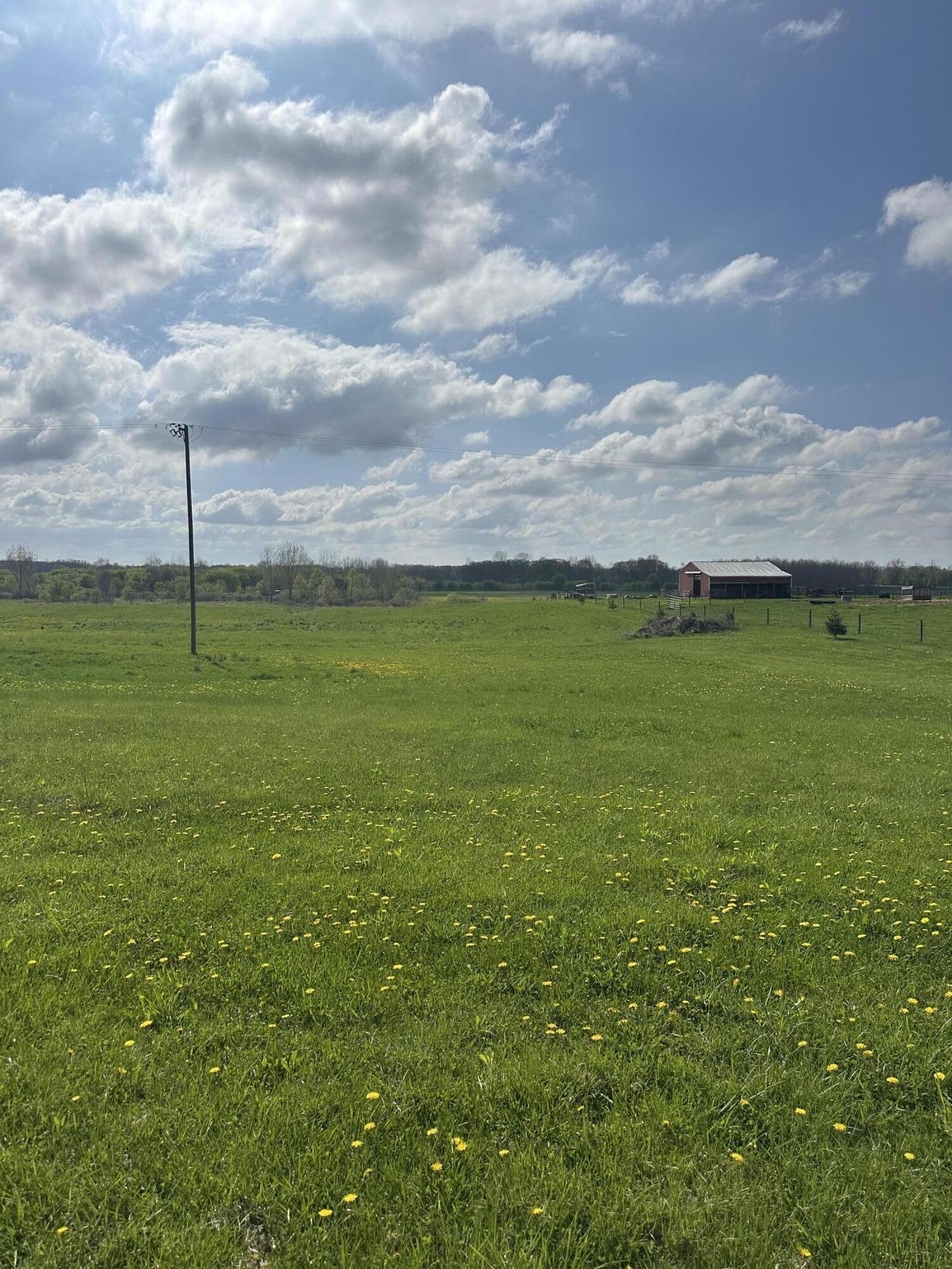 6045 Herrington Road North Webberville, MI 48892 - Photo 7 of 24 IMG_8624